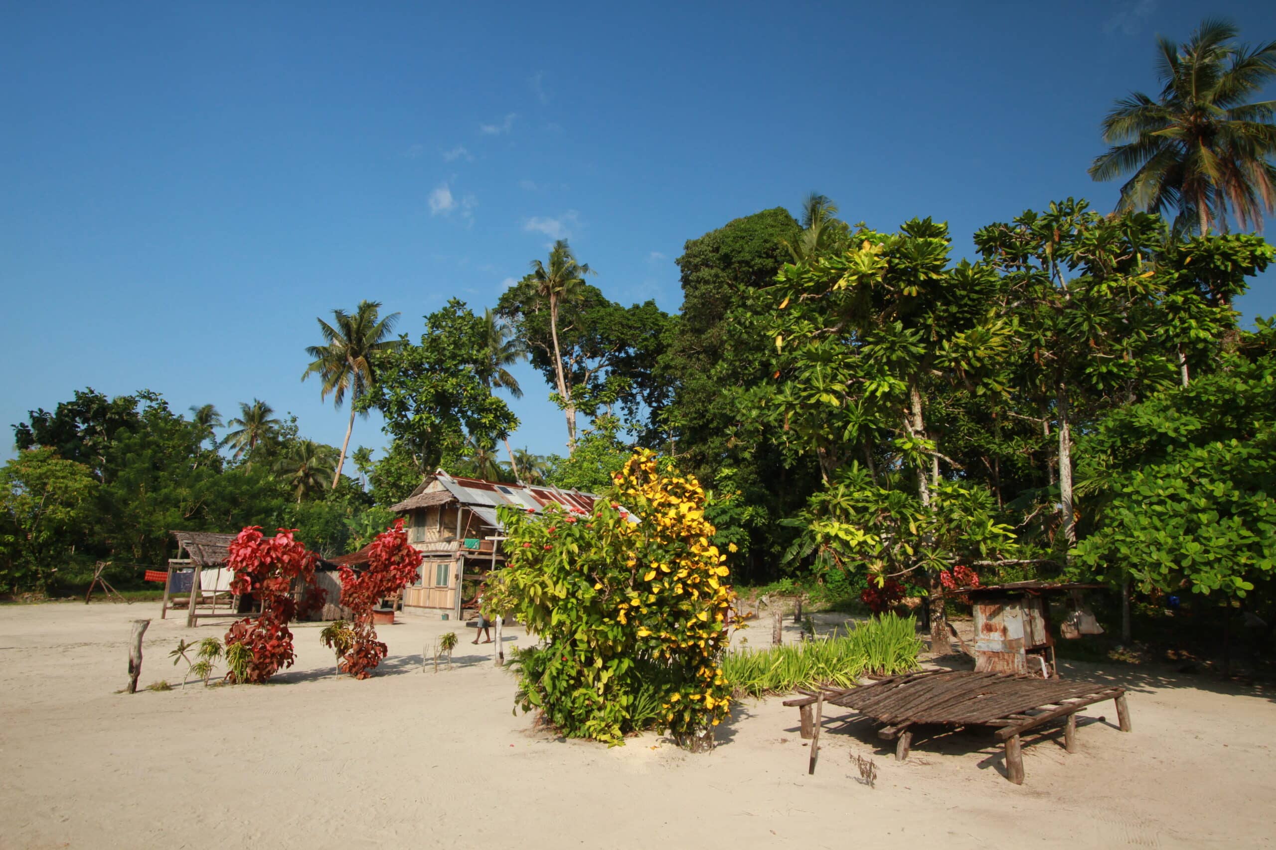 Ali Island (3)