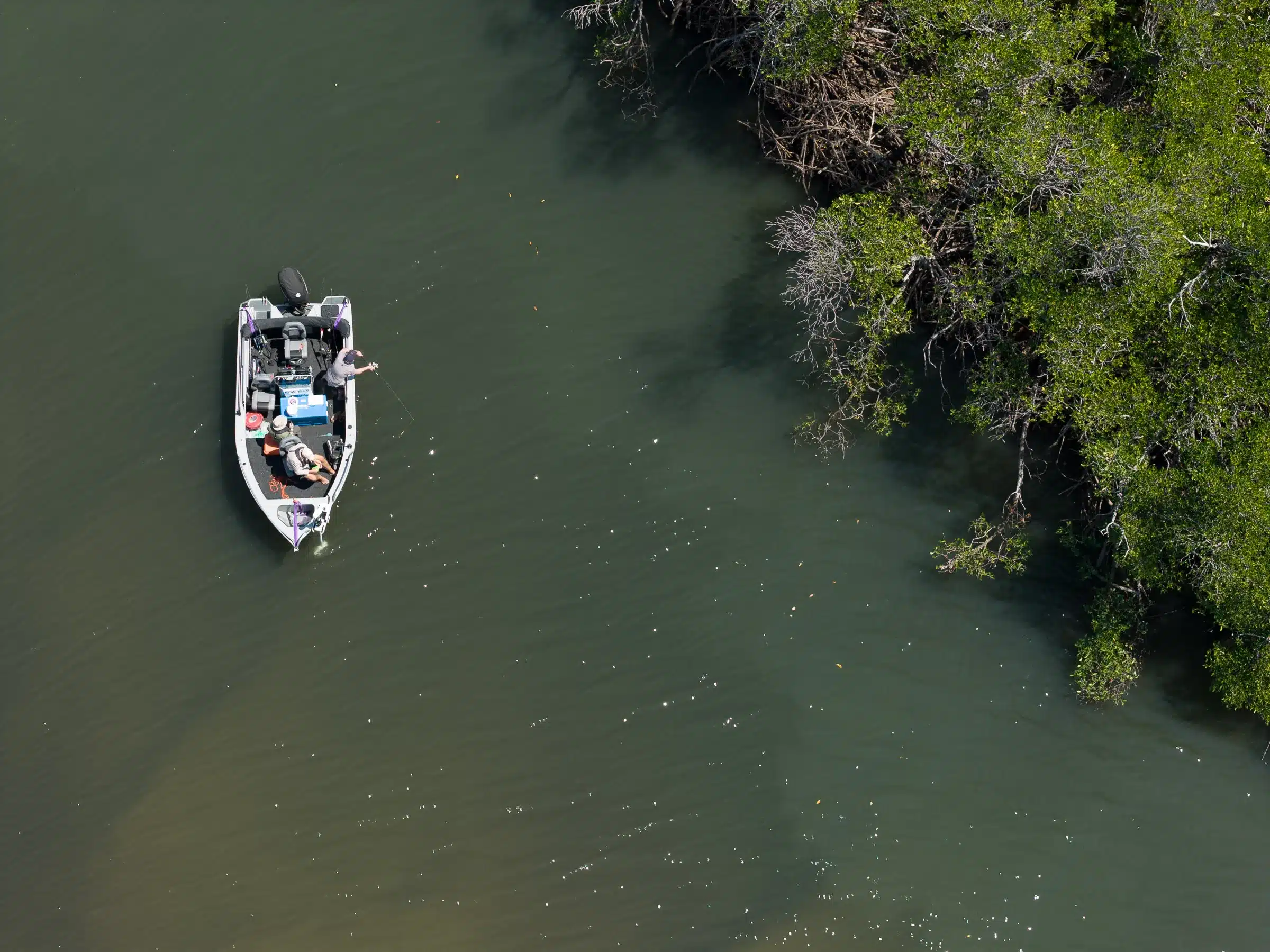 P_Pearl_20250821_0139