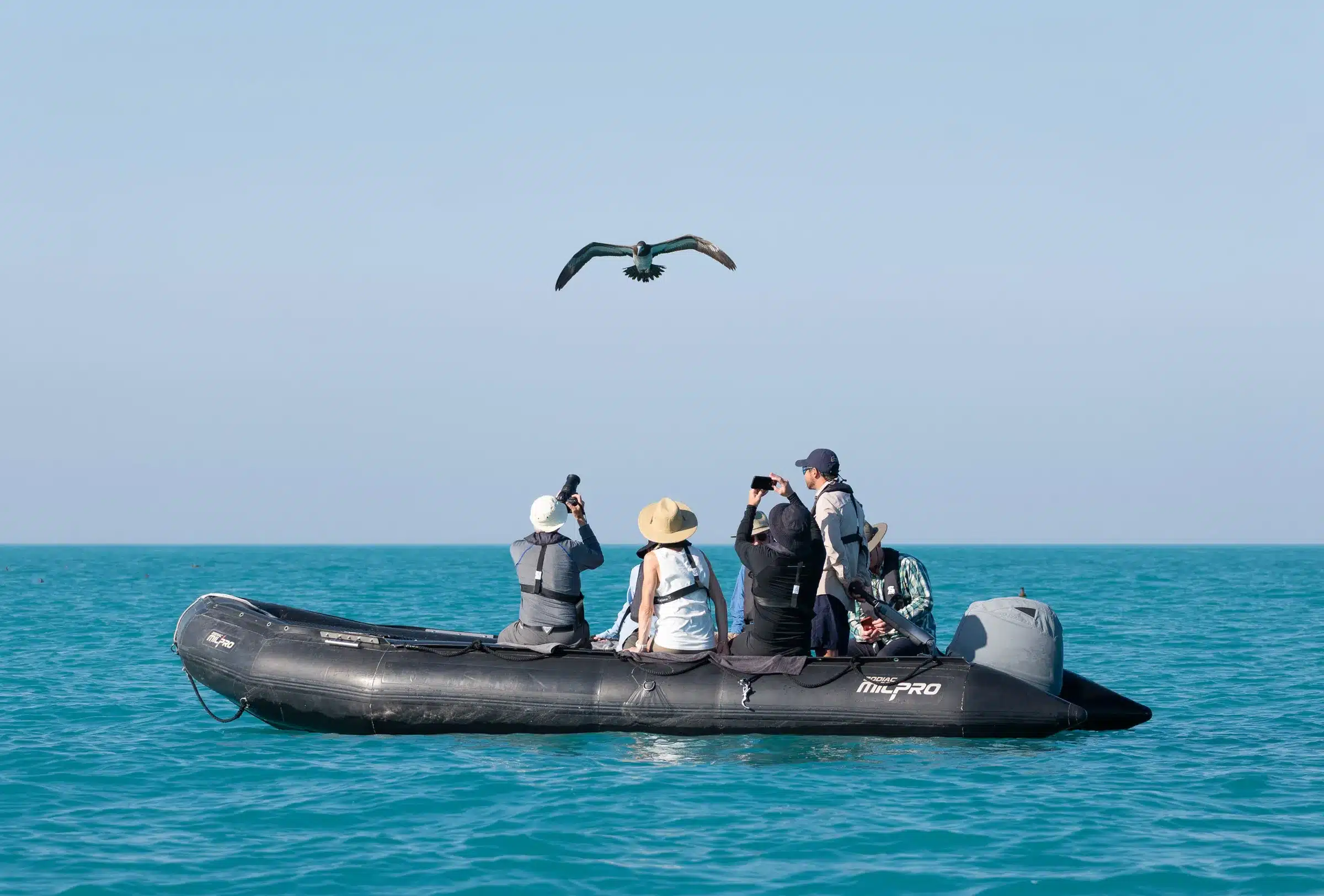 P_Pearl_20250829_3914