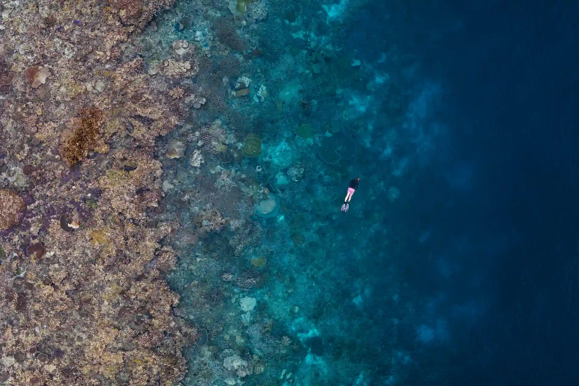 snorkeling